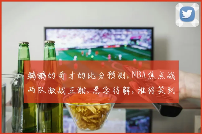 鹈鹕的奇才的比分预测,NBA焦点战两队激战正酣,悬念待解,谁将笑到最后